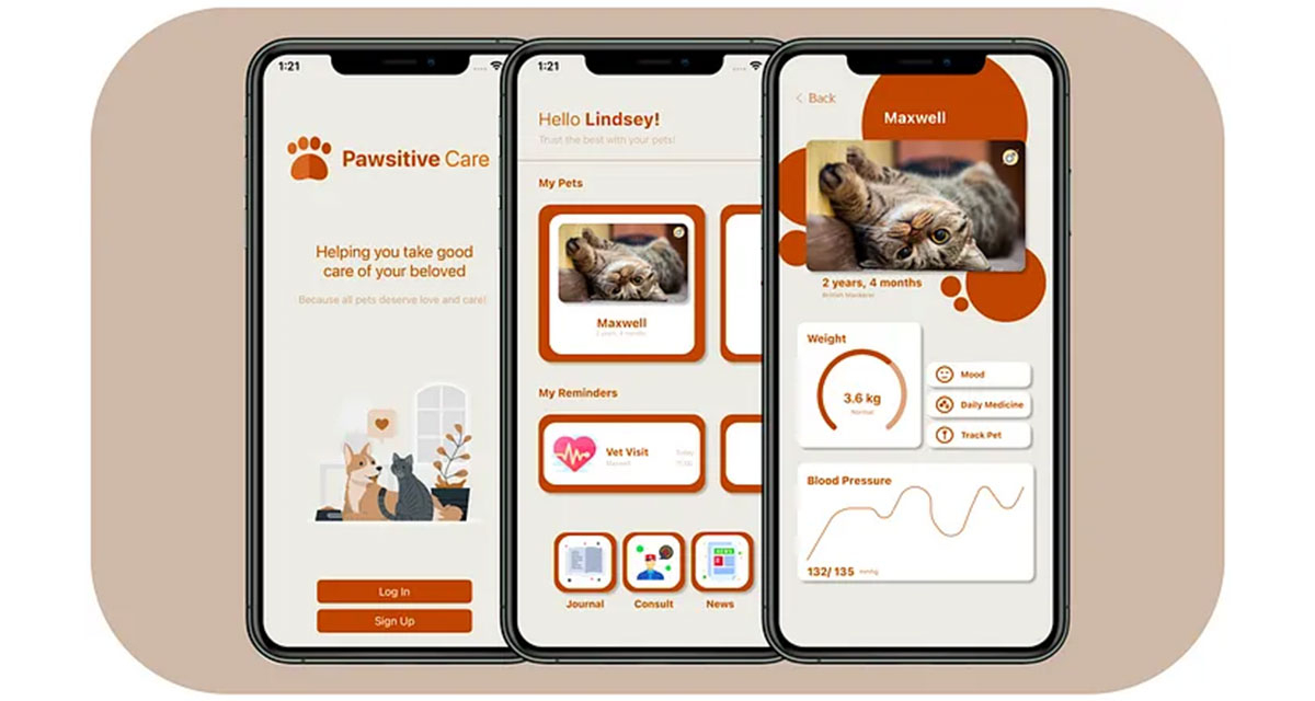 Pawsitive Care App developed by DVT’s Nicole-Lee Scholtz.